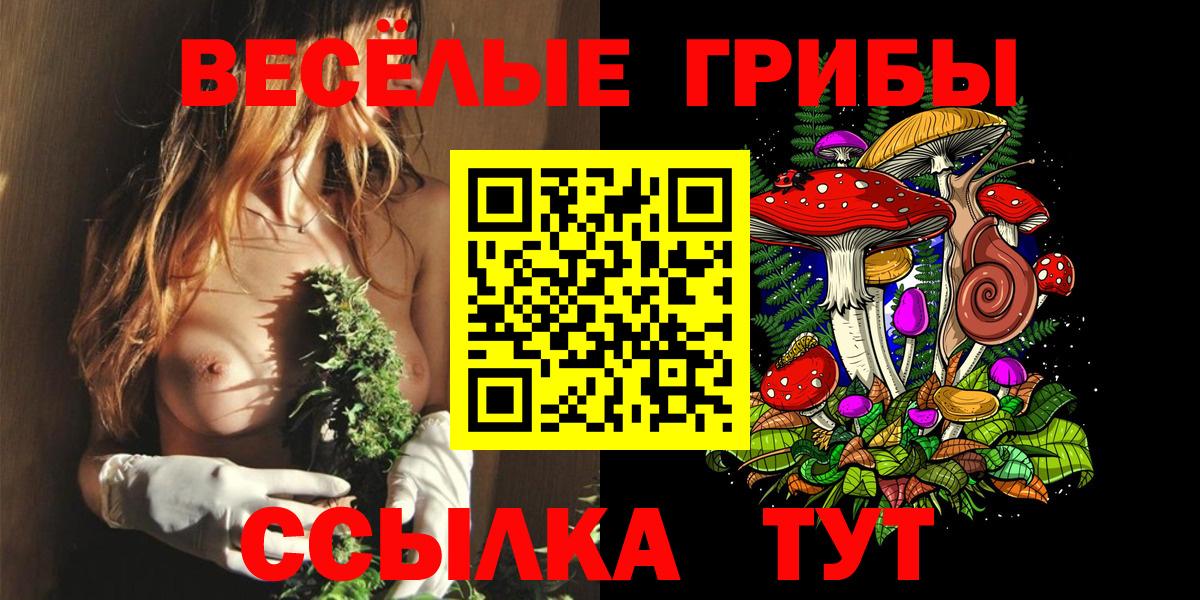 Псилоцибиновые грибы MAGIC MUSHROOMS  Вход с VPN  Гулькевичи 