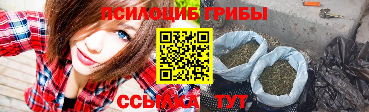 Псилоцибиновые грибы ЛСД Гулькевичи